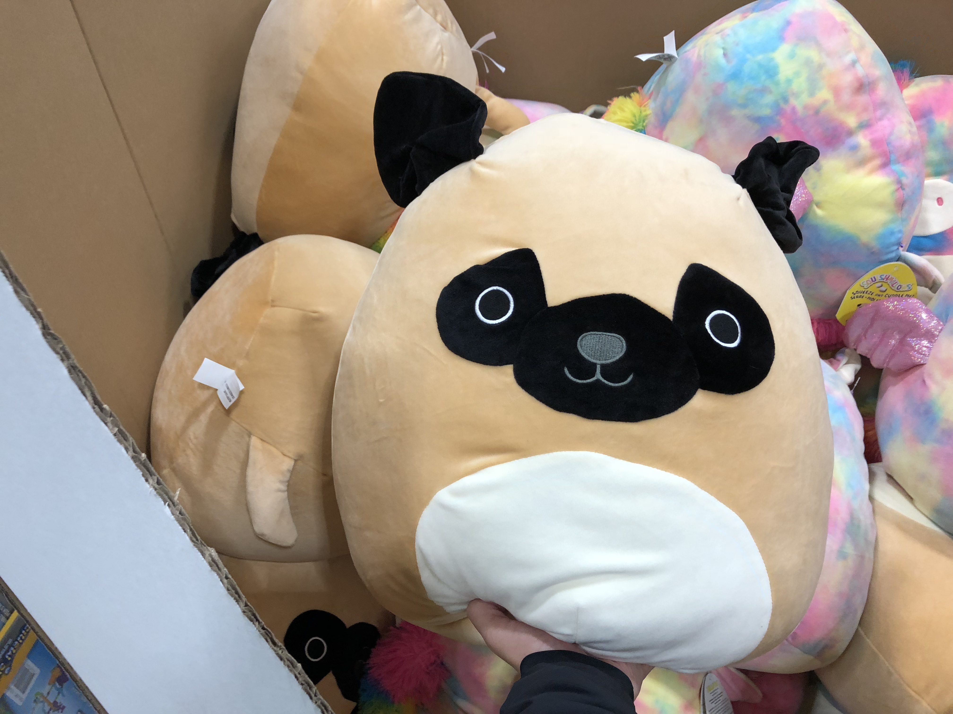 37+ Squishmallow Costco 2021 Gif