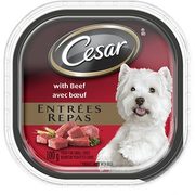 Cesar Dog Food - $0.75