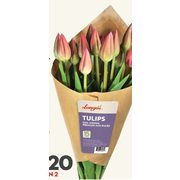 Longo's Premium Local Tulips Soil Grown - 2/$20.00 ($5.98 off)