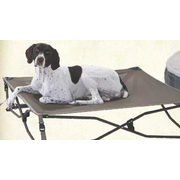 cabelas elevated dog bed