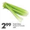 Fresh Celery - $2.99