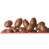 Chocolate Covered Almonds - 25% off