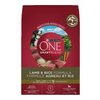 Purina One or Chow Dog and Cat Food and Treats - $14.84-$31.49 (10% off)