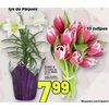 10 Stem Tulip Bouquet or Potted Easter Lilies - $7.99